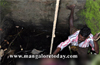 Moodbidri : 12 yr boy’s attempt to rescue cat   proves fatal